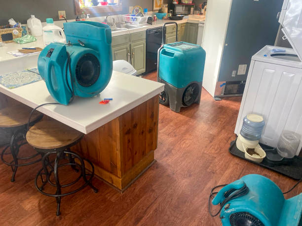 Best 24/7 water damage repair  in Circle D Kc Estates, TX