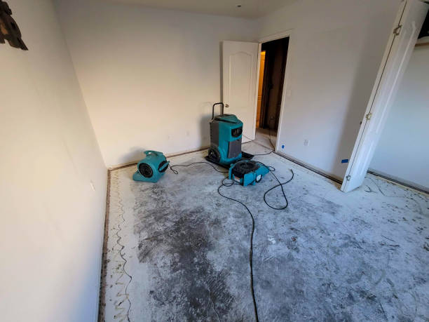 Best Ceiling water damage repair  in Circle D Kc Estates, TX