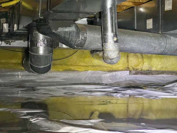 Water damage restoration mold remediation in Circle D Kc Estates, TX